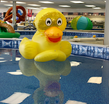 Hot tub display area with multiple spa models set up for hands-on comparison